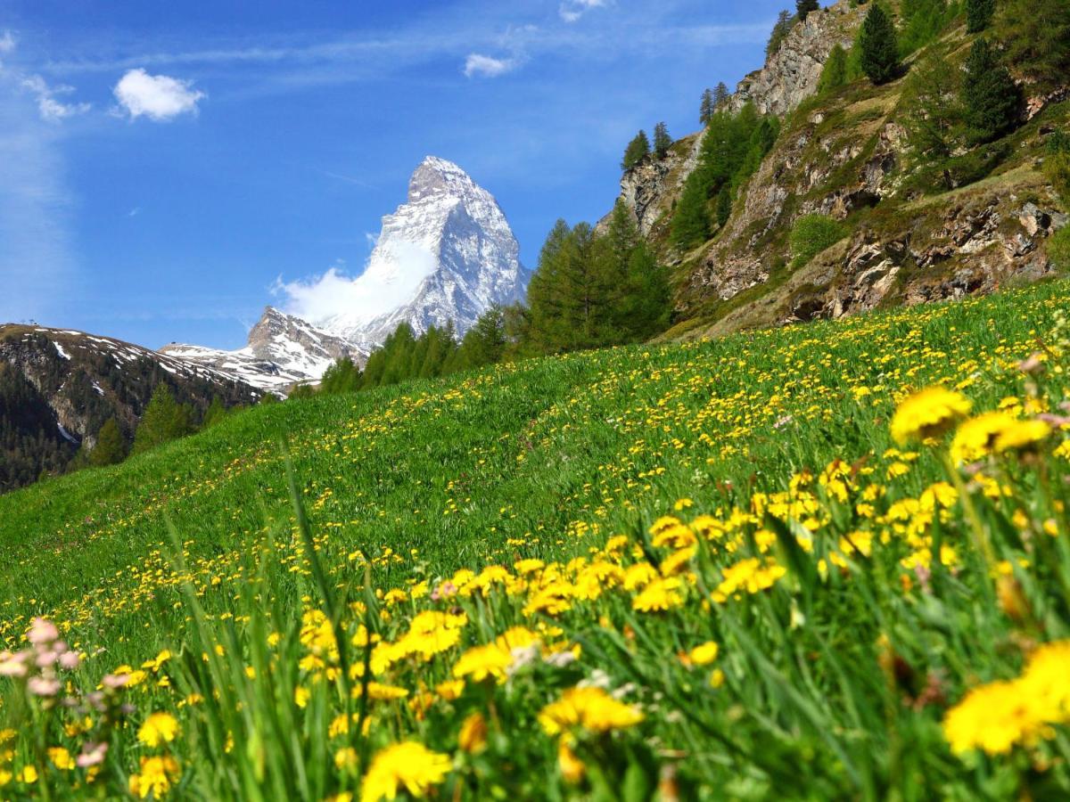 Apartment La Prairie By Interhome Zermatt Dış mekan fotoğraf